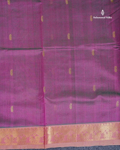 Border Of Dual Tone Magenta Pure Silk Cotton Saree 