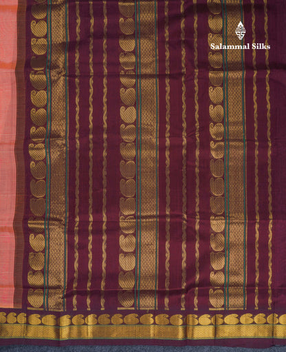 Peach Pure Silk Cotton Saree With Contrast Dark Brown Traditional Border