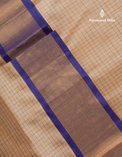 Beige Tiny Checks Pure Silk Cotton Saree With Contrast Navy Blue Traditional Evening Morning Border