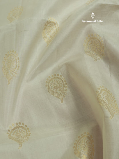 Beautiful Sea Green Pure Kanjivaram Soft Silk Saree With Contrast Maroon Border