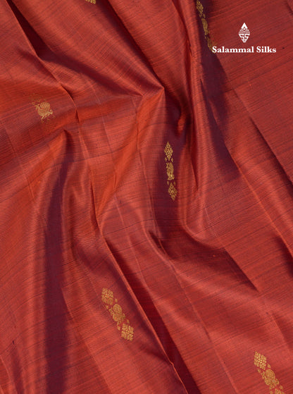 Beautiful Rust Orange Pure Kanjivaram Silk Saree With Contrast Dark Brown Traditional Gap Border