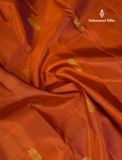 Beautiful Rust Orange Pure Kanjivaram Silk Saree With Contrast Dark Brown Traditional Gap Border