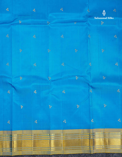 One Side Border Pure Silk Saree - Blue Colour Body Zari Butta With Traditional Border