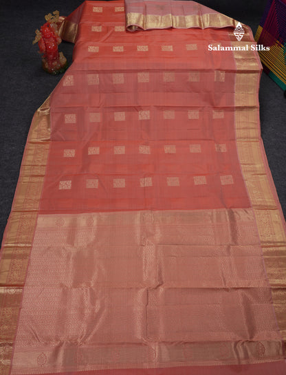 Beautiful Light Chocolet Pure Kanjivaram Silk Saree With Traditional Border