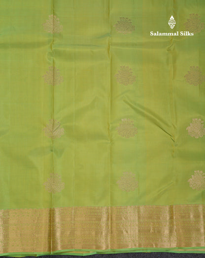 Beautiful Parrot Green Pure Kanjivaram Silk Saree With Traditional Border