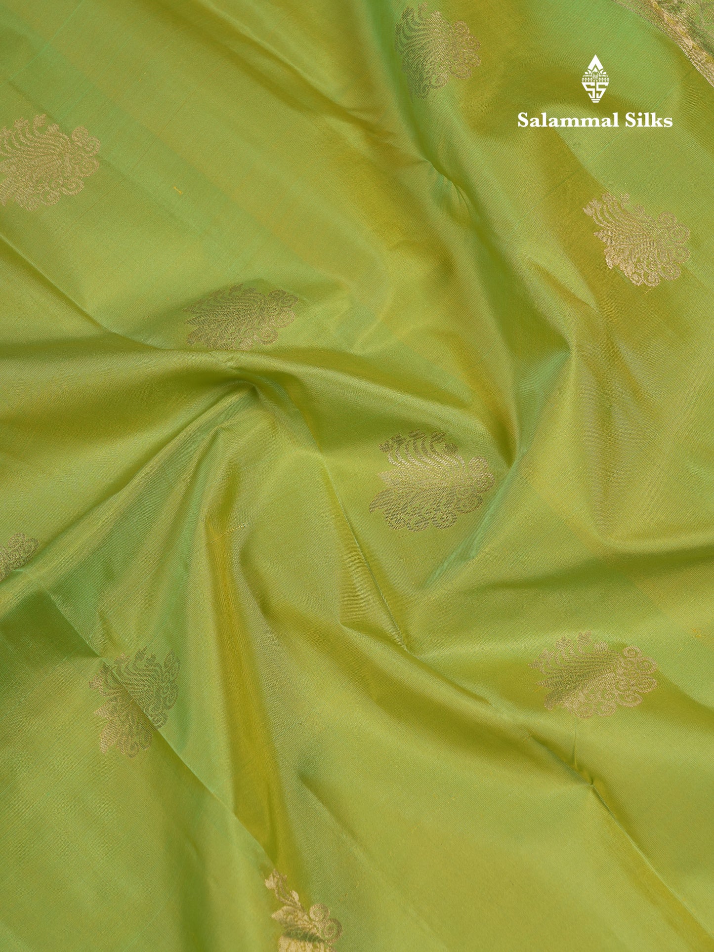Beautiful Parrot Green Pure Kanjivaram Silk Saree With Traditional Border