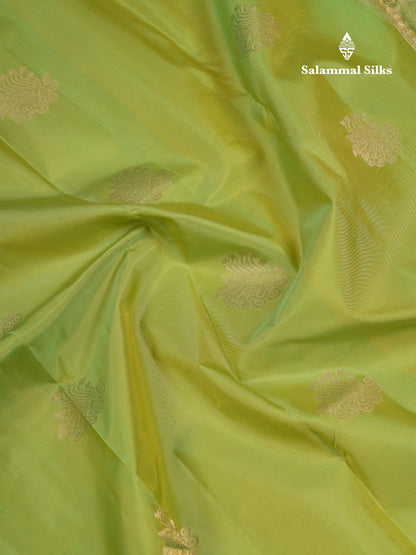 Beautiful Parrot Green Pure Kanjivaram Silk Saree With Traditional Border