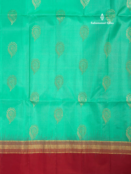 Beautiful Sea Green Pure Kanjivaram Soft Silk Saree With Contrast Maroon Border