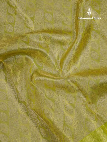 Beautiful Light Green Tissue Bridal Pure Kanjivaram Silk Saree With Contrast Parrot Green Traditional Evening Morning Border