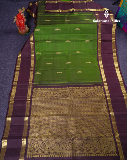 Beautiful Green Pure Kanjivaram Silk Saree With Contrast Dark Brown Traditional Gap Border