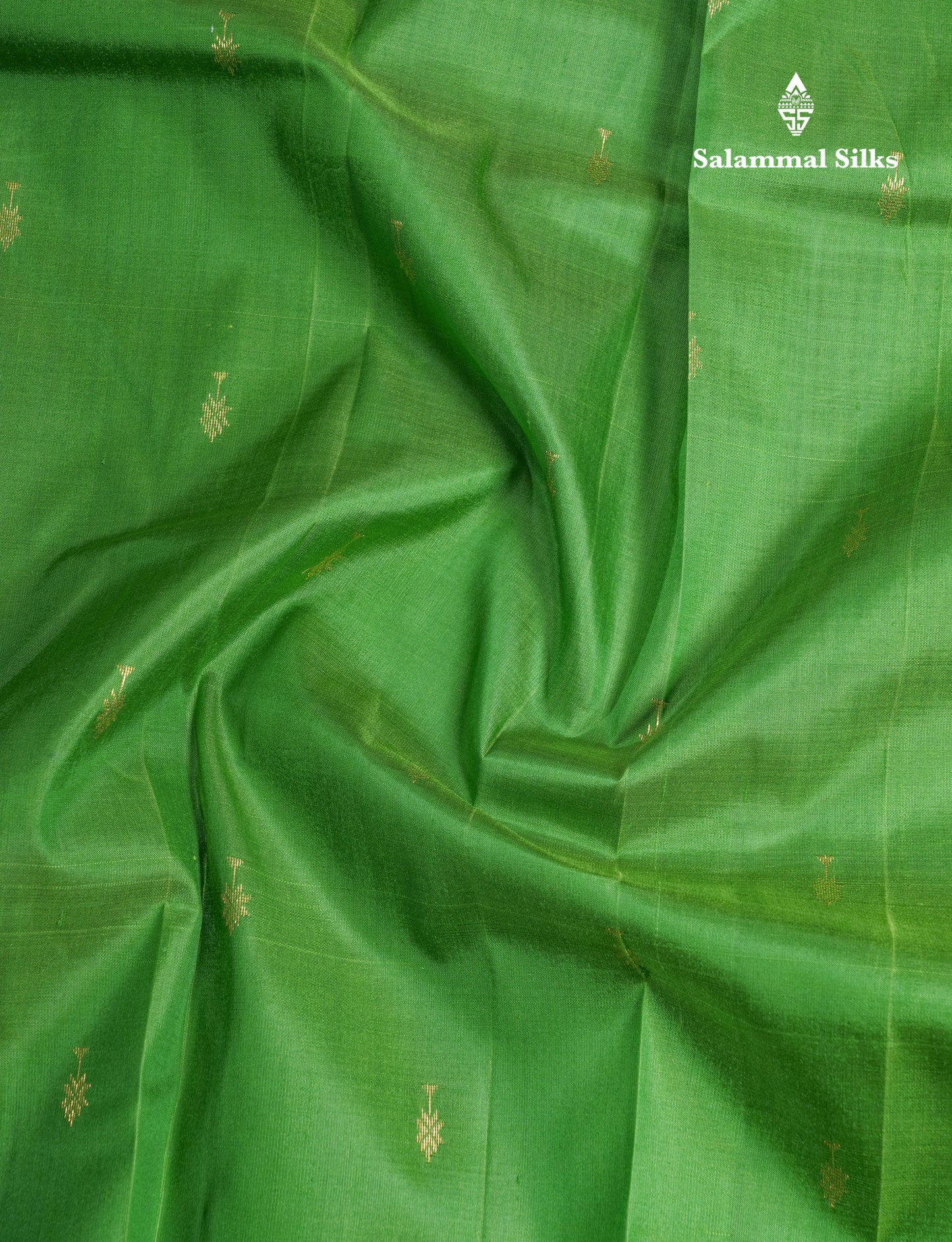 Green Pure Kanjivaram Silk Saree With Contrast Green Shade One Side Border