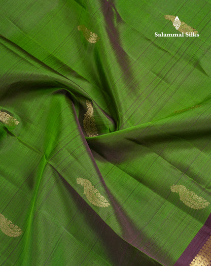 Beautiful Green Pure Kanjivaram Silk Saree With Contrast Dark Brown Traditional Gap Border