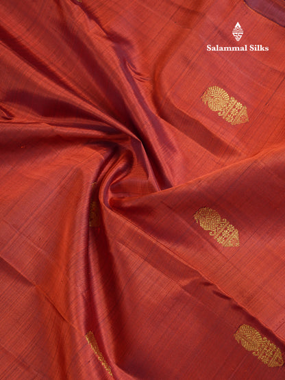 Beautiful Rust Orange Pure Kanjivaram Silk Saree With Contrast Dark Brown Traditional Gap Border
