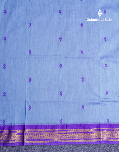 Dual Tone Blue Kalyani Cotton Saree With Contrast Violet Border