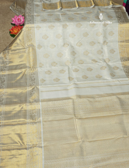 Silver Grey Pure Kanjivaram Silk Saree (2G) Zari With Self Long Border
