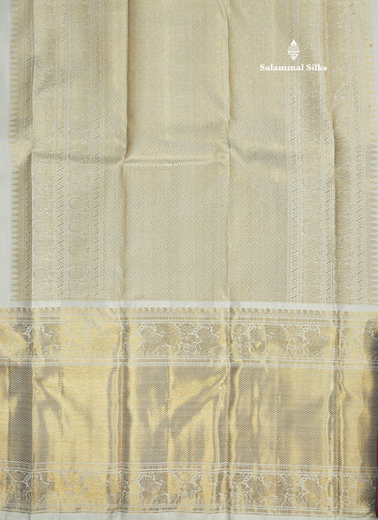 Silver Grey Pure Kanjivaram Silk Saree (2G) Zari With Self Long Border