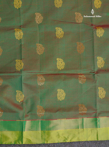 Border Of Dual Tone Green Semi Silk Cotton Saree