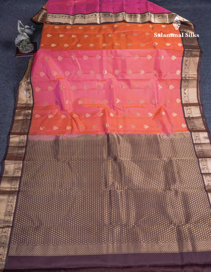Dual Tone Pinkish Orange Pure Kanjivaram Silk Saree With Contrast Dark Brown Border