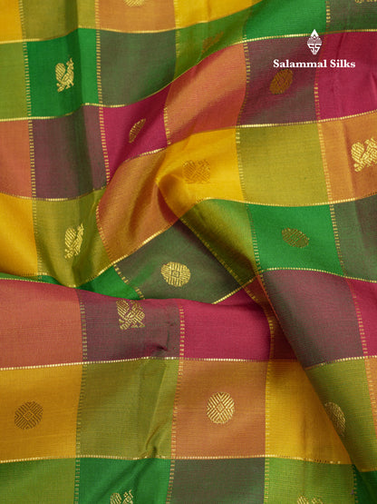 Paalum Pazham Zari Checks Pure Kanjivaram Silk Saree With Traditional Border