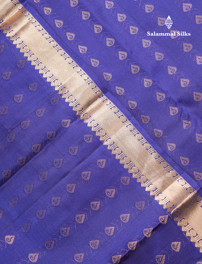 Dual Tone Purple Pure Kanjivaram Silk Saree With Self Long Border