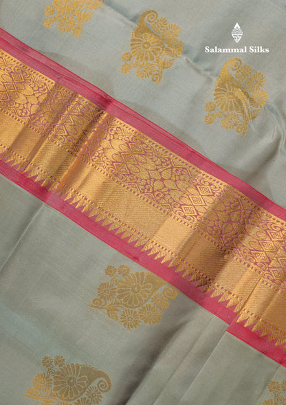 Light Rexona Pure Kanjivaram Silk Saree With Contrast Chilly Red Blouse