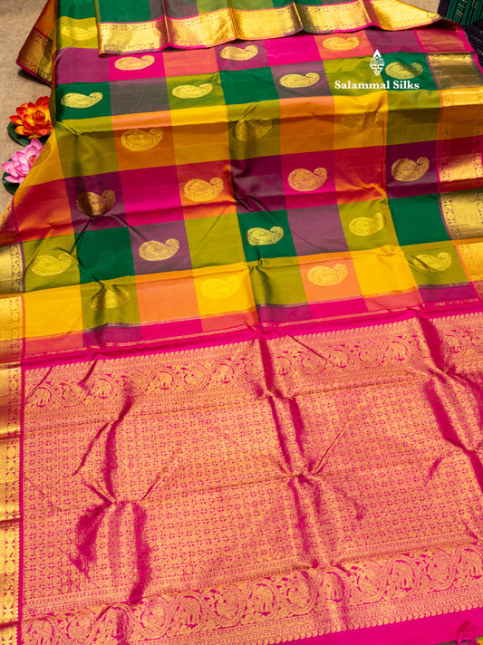 Paalum Pazham Checks Pure Kanjivaram Silk Saree With Traditional Border