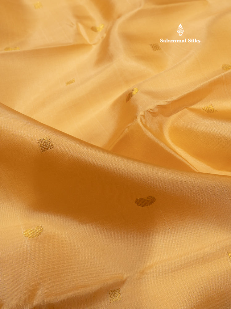 Sandal Colour Pure Kanjivaram Silk Saree with Violet Border