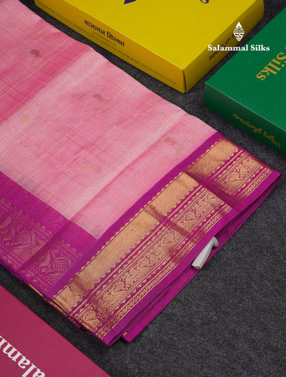 Beautiful Light Pink Checks With Buttas Pure Silk Cotton Saree With Contrast Dark Purple Traditional Border