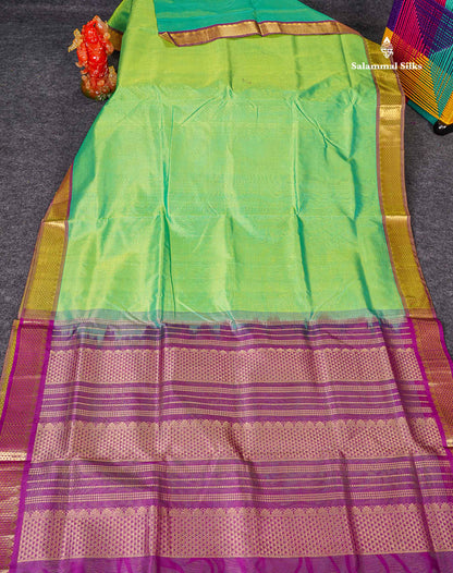 Full View Of Rexona Green Pure Silk Cotton Saree 