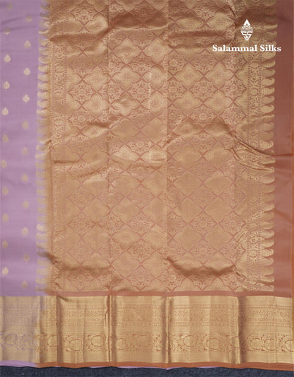 Baby Pink Puremix Silk Saree With Contrast Bronze Blouse