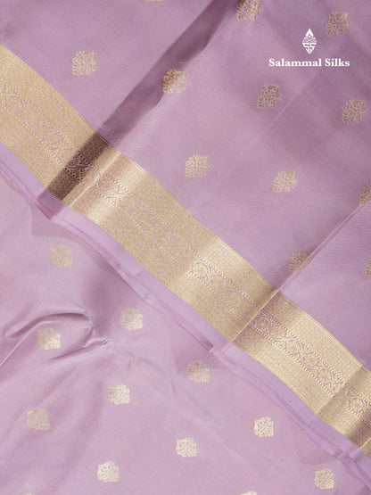 Baby Pink Puremix Silk Saree With Contrast Bronze Blouse