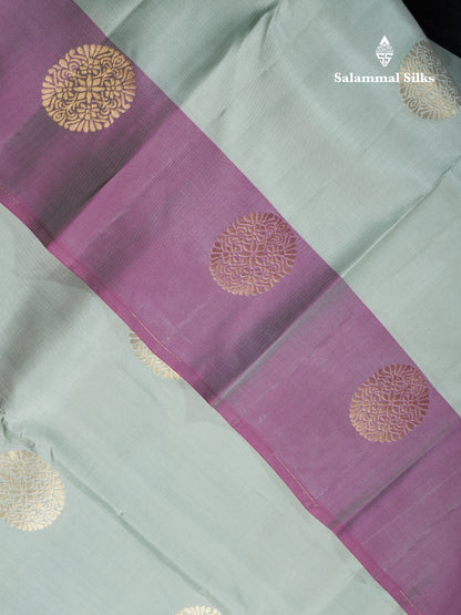Light Elaichi Green Puremix Silk Saree With Contrast Dual Tone Purple Border