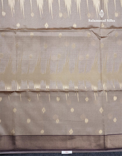 Light Chocolate Semi Tussar Silk Saree With Contrast Lavender Border