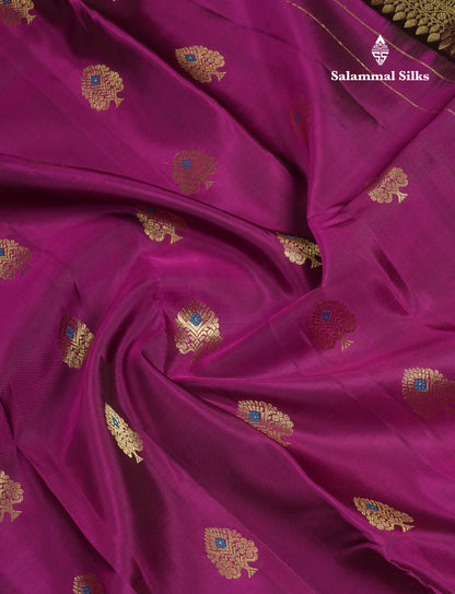 Beautiful Magenta Menakari Work Pure Kanjivaram Silk Saree With Contrast Dark Brown Traditional Evening Morning Border