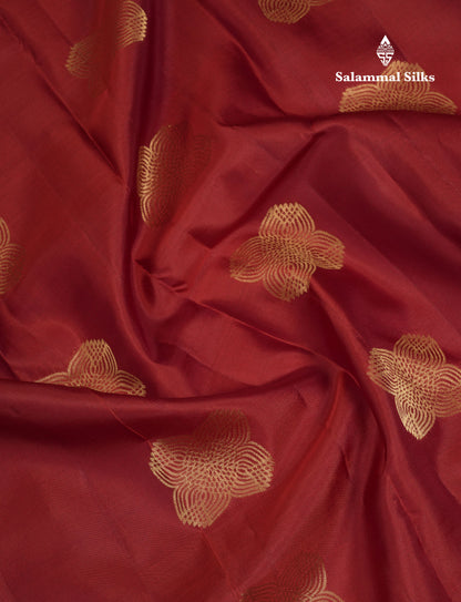Beautiful Brown Pure Kanjivaram Silk Saree With Traditional Border