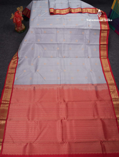 Beautiful Light Blue Pure Kanjivaram Silk Saree With Contrast Chilly Red Traditional Medium Border