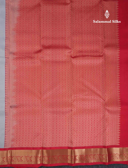 Beautiful Light Blue Pure Kanjivaram Silk Saree With Contrast Chilly Red Traditional Medium Border