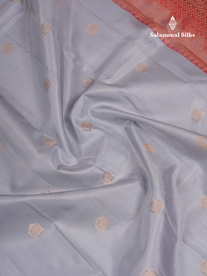Beautiful Light Blue Pure Kanjivaram Silk Saree With Contrast Chilly Red Traditional Medium Border