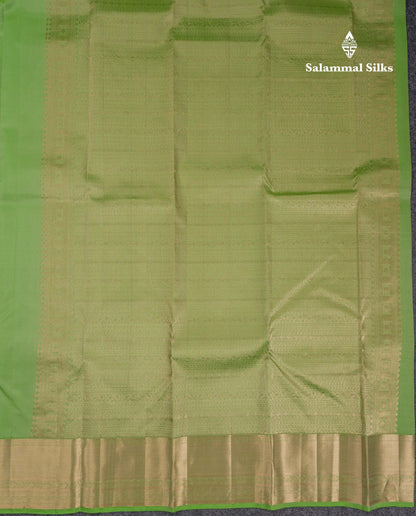 Beautiful Light Parrot Green Pure Kanjivaram Silk Saree With Traditional Border