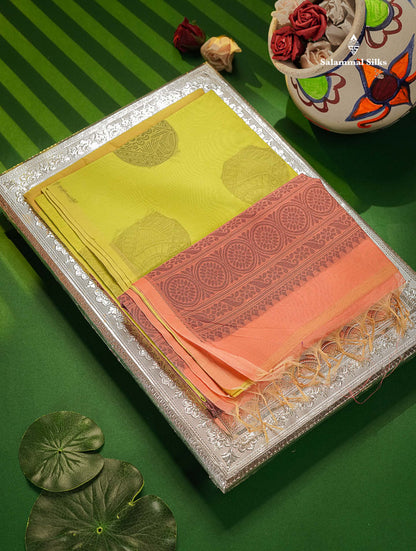Cora Cotton Saree - Light Parrot Green Colour Body Thread Butta With Contrast Light Pink Blouse