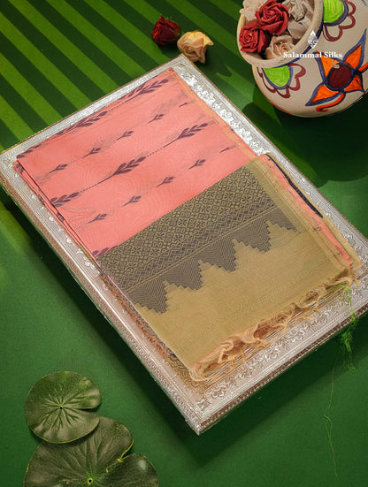 Light Pink Beautiful Fancy Kora Cotton Saree With Contrast Green Shade Blouse
