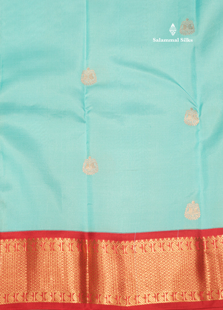 Sky Blue Colour Pure Kanjivaram Silk Saree With Contrast Maroon Border