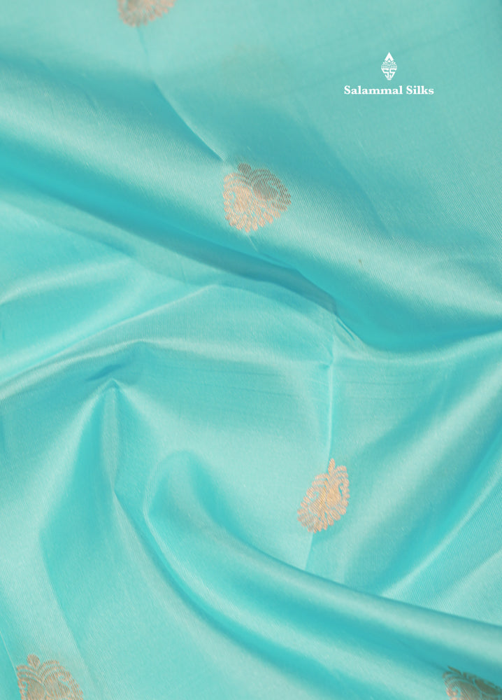 Sky Blue Colour Pure Kanjivaram Silk Saree With Contrast Maroon Border