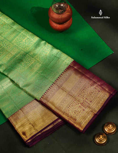 Bridal Pure Mix Silk Saree - Light Pista Green Colour Body With Contrast Dark Purple Traditional Evening Morning Border