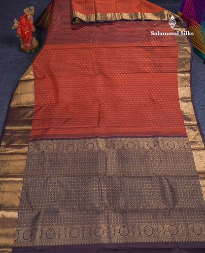 Beautiful Rust Orange Pure Kanjivaram Silk Saree With Contrast Dark Brown Traditional Evening Morning Border