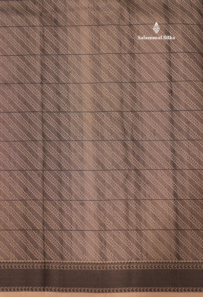Zari less Cream Colour Checks Pure Kanjivaram Silk Saree With Black Border (No Zari)