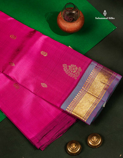 Beautiful Vadamalli Pure Kanjivaram Silk Saree With Contrast Blue Shade Traditional One Side Border