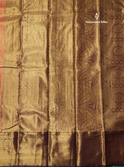 Light Brown Tissue Bridal Semi Silk Saree With Contrast Purple Border