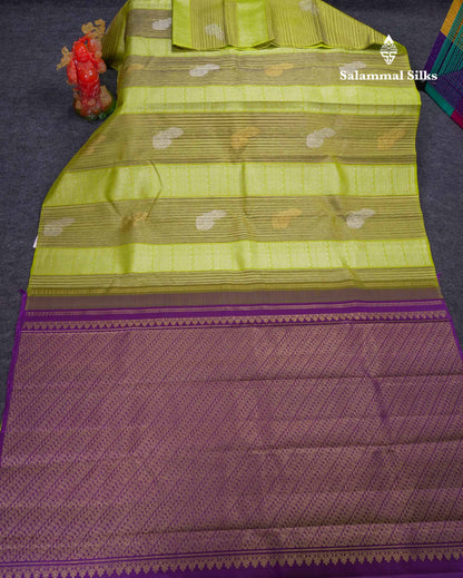 Beautiful Pista Green Fancy Pure Kanjivaram Silk Saree With Contrast Dark Purple Blouse