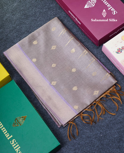 Light Chocolate Semi Tussar Silk Saree With Contrast Lavender Border